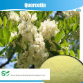 Quercetin CAS.117-39-5